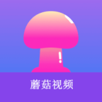 WWW,991se·COM网站APPAPP应用